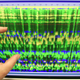 DNA data on a computer monitor. Image: AP